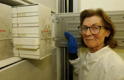 A doutora Anne McLaren, no Museu de História Natural de Londres.