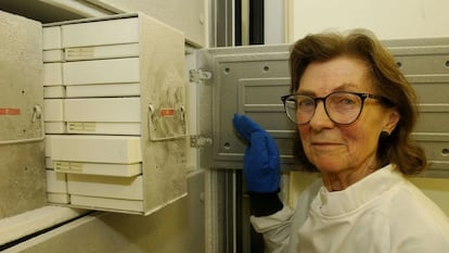 A doutora Anne McLaren, no Museu de História Natural de Londres.