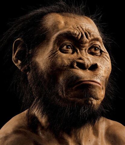 Imagen del 'Homo naledi'.