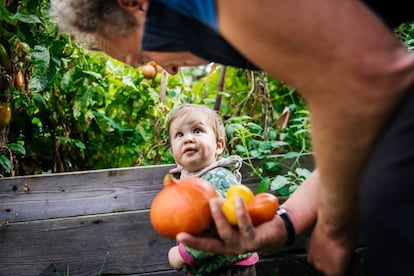 Un niño disfruta en un huerto urbano. 