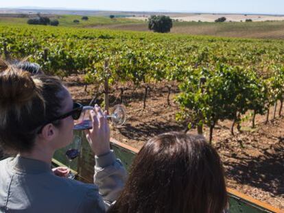 Bodegas Palacio Quemado.Abajo, Bodegas Ruiz Torres.