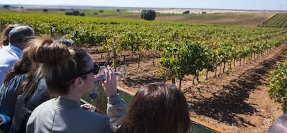 Bodegas Palacio Quemado.Abajo, Bodegas Ruiz Torres.