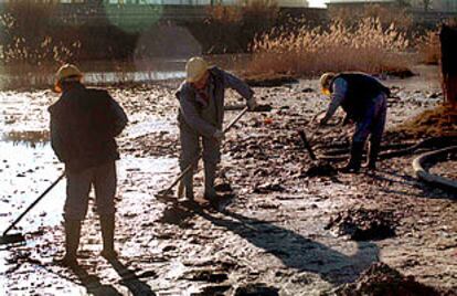 Dos operarios retiran el gasóleo de la ribera de río Francolí.