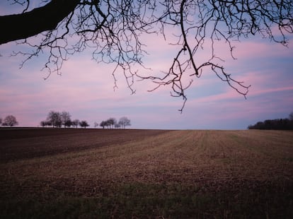 Crop fields on Lucas Lang's farm in the town of Buhl in the Alsace region.