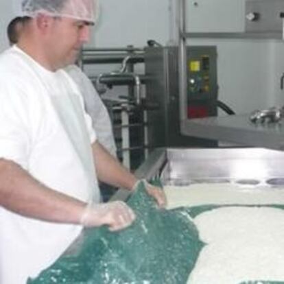 Preparación del queso Torta del Casar.