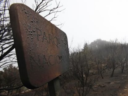 Un paraje quemado en el Parque Nacional de Garajonay, en La Gomera.