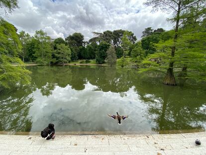 Madrid reabrirá los grandes parques como El Retiro o la Casa de Campo de forma “inmediata” en la fase 1