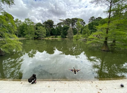 Madrid reabrirá los grandes parques como El Retiro o la Casa de Campo de forma “inmediata” en la fase 1