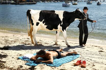 Un hombre pasea a una vaca por la arena como parte una instalación de arte de Andrew Baines en la playa, en Sídney (Australia).