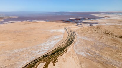 El "hilito de agua" que se estira hasta el mar de Cortés, en parte gracias a la luna llena que hizo subir la marea la noche anterior.