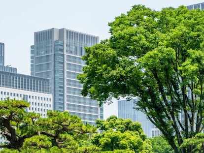 El jardín, la última baza para humanizar las sedes corporativas