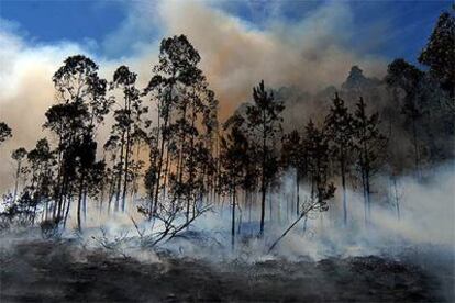 Incendios que rodearon Muxía