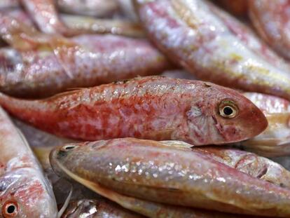 La cocina hermana las lecturas parecidas de los idénticos frutos del a misma pesca.