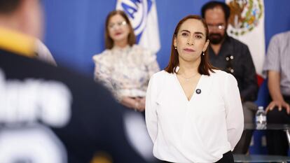 La diputada del Partido Acción Nacional, Adriana Dávila.