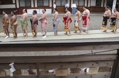 Luchadores de sumo esperan en fila para ofrecer sus oraciones en el santuario Yasukuni antes de los combates rituales, en Tokio (Japón).