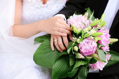 Newsletter Novias alianzas