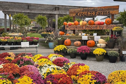 Un puesto de venta de flores y calabazas en la granja de la familia Kroul (Iowa).