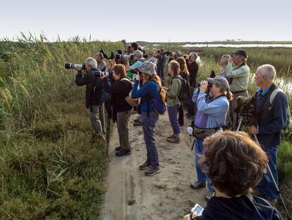 Visitantes del Delta Birding Festival, observando aves.