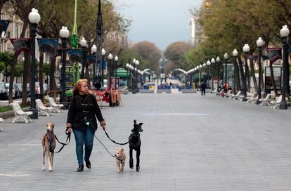 Una mujer pasea con los perros por la Rambla Nova de Tarragona.