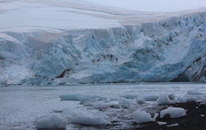 Salida al mar del glaciar Johnsons, en isla Livingston (Antártida).