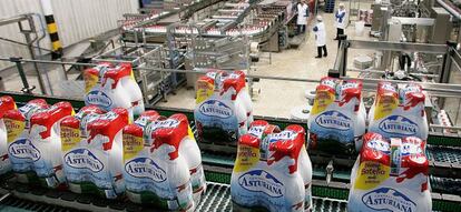 Empaquetado de botellas de leche en la f&aacute;brica de Central Lechera Asturiana en Siero (Asturias).