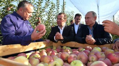 Los máximos dirigentes rusos, en una empresa agrícola en Stávropol.
 