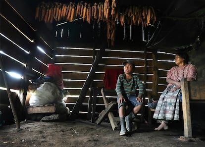 Óscar Tut junto a su tía Candelaria, de 55 años, en la única habitación de la casa en Alta Verapaz, Guatemala.