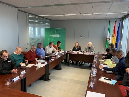 Reunión entre la consejera de Fomento de la Junta, Marifrán Carazo (al fondo), y los representantes del gremio de taxistas en Andalucía.