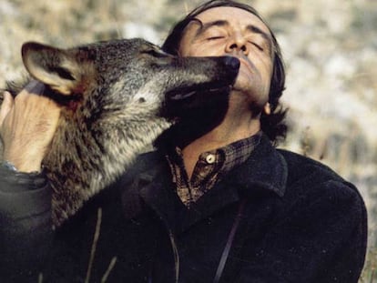 Félix Rodríguez de la Fuente abraza a un lobo durante el rodaje de 'El hombre y la tierra'.