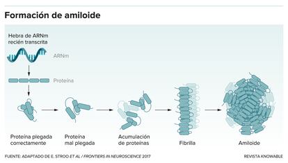 Esquema que muestra cómo se forma un amiloide. Gráfico adaptado de E. Stroo et al./Frontiers in Neuroscience 2017