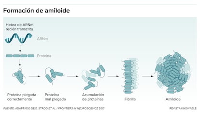 Esquema que muestra cómo se forma un amiloide. Gráfico adaptado de E. Stroo et al./Frontiers in Neuroscience 2017