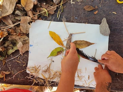 Un collage realizado con elementos naturales por unos niños de la escuela-bosque de Las Palmas de Gran Canaria.