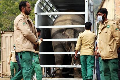 Operarios cerca del contenedor de transporte de Kaavan.