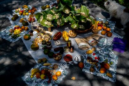 El recorrido de naturaleza y alimentos urbanos termina en un picnic con alimentos de temporada.