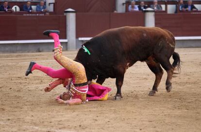 Joaquín Galdós es embestido por su primer toro en Las Ventas.