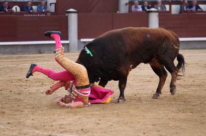 Joaqun Galds es embestido por su primer toro en Las Ventas.