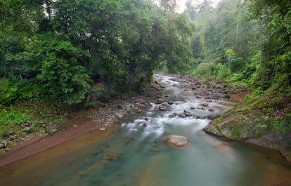 Río Yorkin, en Costa Rica.