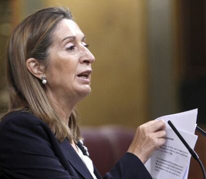 La ministra de Fomento, Ana Pastor, durante su intervención en la sesión de control al Gobierno, esta miércoles en el Congreso de los Diputados.