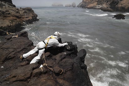 Personal limpia con disolvente rocas con restos de petróleo en la playa Cavero en el distrito de Ventanilla en Lima (Perú)
