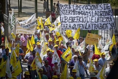 Entre sus peticiones, las organizaciones agrarias demandan actualizar los umbrales de referencia para el almacenamiento privado, la autoregulación del sector y medidas de control por parte de la Junta de Andalucía.