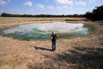 La sequía en Paradise, Texas.