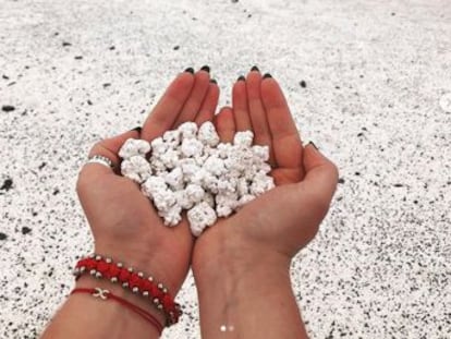 Un paraje de Fuerteventura sufre un expolio de sus algas calcáreas por su parecido con las palomitas de maíz