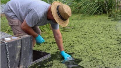 soluciones para el futuro