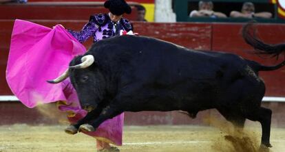 David Esteve recibe de capote al &uacute;ltimo toro de la temporada en Valencia.