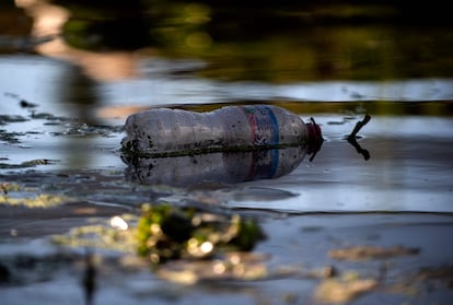 Xochimilco contaminación