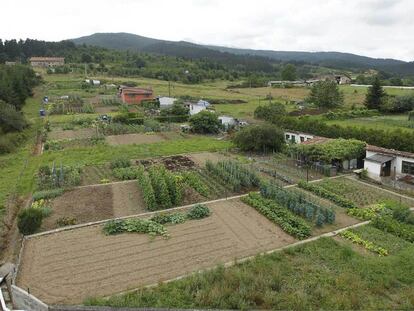 Vista del área donde se proyecta el polígono industrial de Elorrio, con los cultivos de agricultura ecológica en primer plano.