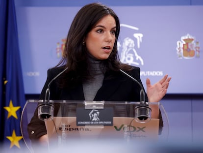 La portavoz de VOX en el Congreso, Pepa Millán, durante la rueda de prensa ofrecida este miércoles en el Congreso.