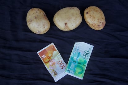 These three potatoes, photographed on August 25 in a market in northern Gaza, cost 150 shekels, about $40. That's when you can find them, because bombings and massive displacements have forced people to abandon most fields and orchards, and humanitarian aid is still too scarce to care for the more than two million inhabitants of this Palestinian territory. Before the war, which began in October 2023, these potatoes cost about two shekels, about 54 cents. According to the latest figures from the Integrated Phase Classification (IPC), an independent and globally recognized tool that measures food security and nutrition and involves several UN organizations, 96% of Gaza's entire population faces high levels of acute food insecurity. The latest results indicate that some 495,000 people are suffering from catastrophic levels of food insecurity, and the risk of famine persists throughout Gaza. 