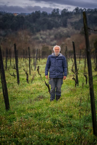 Angelo Rocha, el hombre que entiende la finca de la que nace el vino de Quinta da Comenda como un espacio colaborativo entre plantas, animales y hombres.