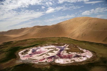 El desierto de Gobi es una región desértica situada entre el norte de China y el sur de Mongolia. En la imagen, un oasis en el desierto de Gobi (Mongolia).